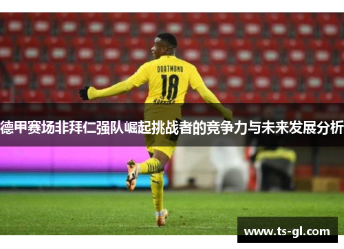 德甲赛场非拜仁强队崛起挑战者的竞争力与未来发展分析