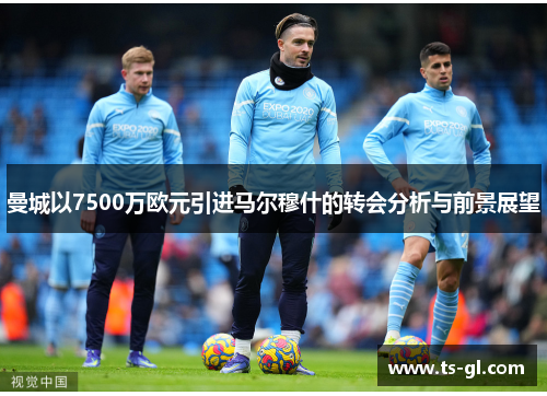 曼城以7500万欧元引进马尔穆什的转会分析与前景展望