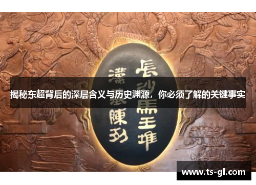 揭秘东超背后的深层含义与历史渊源，你必须了解的关键事实